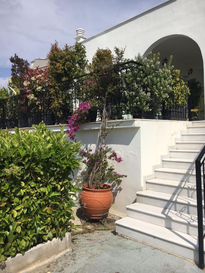 Sunny Sea House Βίλα Ραφήνα Εξωτερικό φωτογραφία